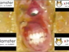 فتاة عاطفية فيلم سكس زوري ايراني مع شعر كس